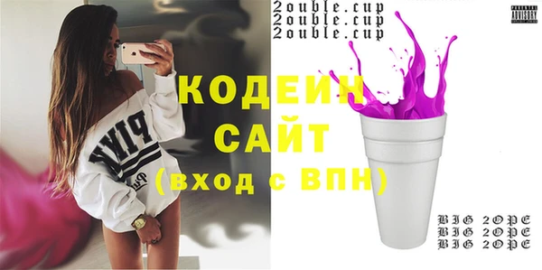 гидра Покачи