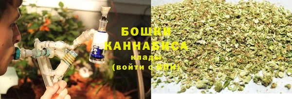 гидра Покачи