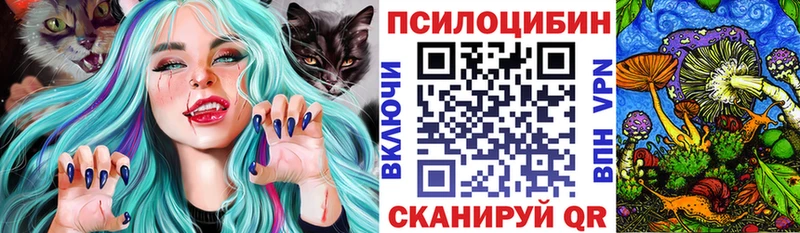 что такое дарк нет Telegram Псилоцибиновые грибы Psilocybe Холм